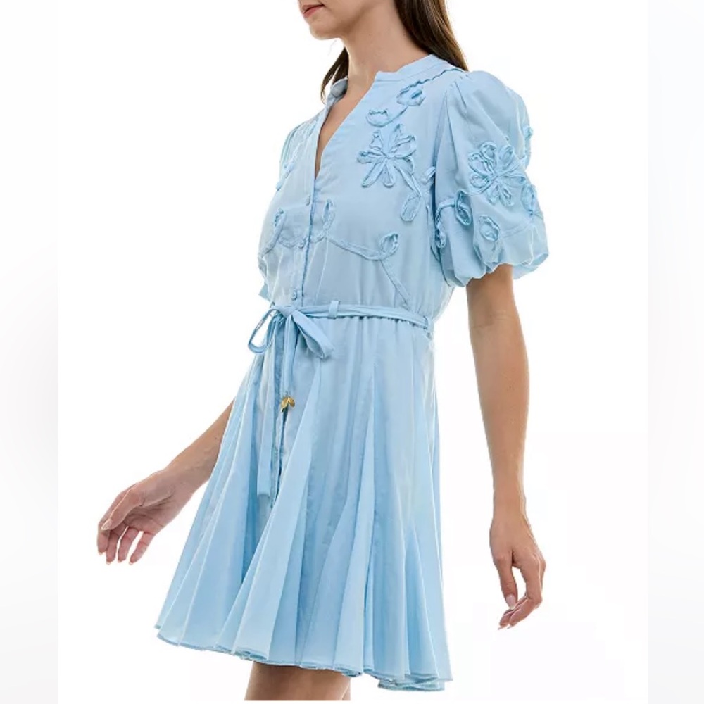 Blue Dress - Picture 4 of 5